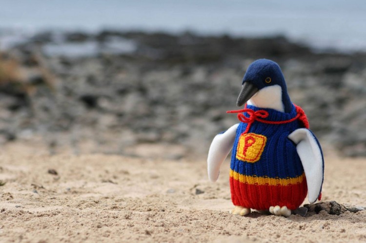 Knit A Sweater, Save A Penguin 2