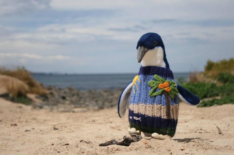 Knit A Sweater, Save A Penguin 3