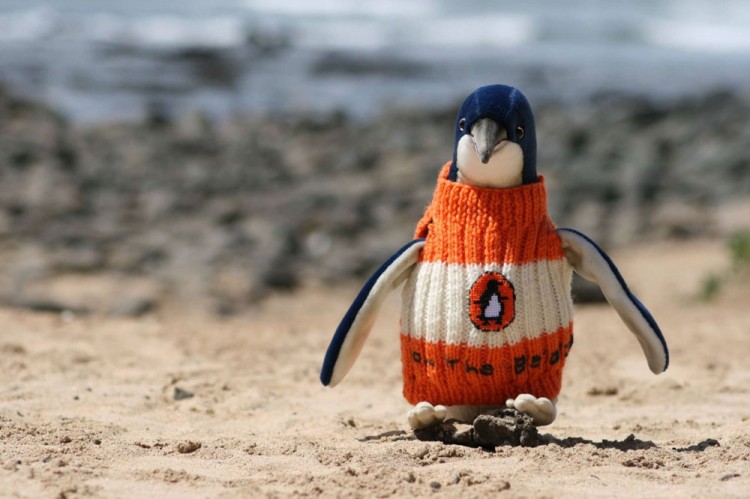 Knit A Sweater, Save A Penguin 4