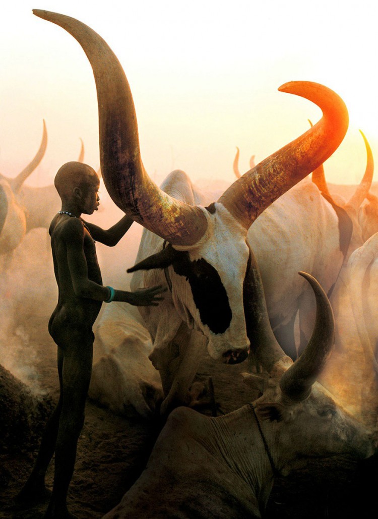走進非洲大地：探秘丁卡人的奇特習俗 2