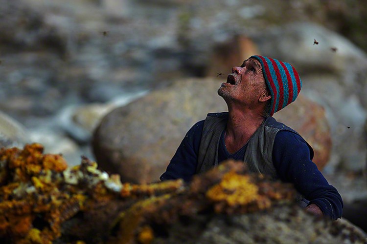 喜馬拉雅懸崖壁上的采蜂人 10