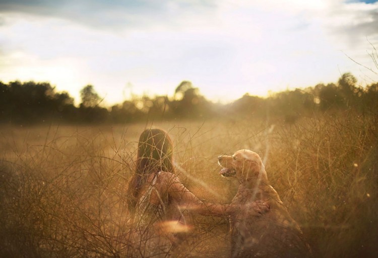 R.I.P Chuppy: These Adorable Photos Will Always Remind Us Of Chuppy The Golden Retriever 19