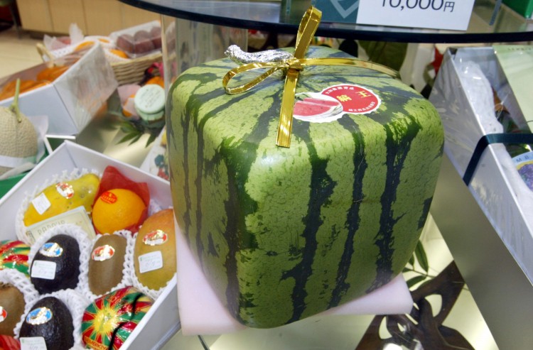 Square Watermelon in Japan