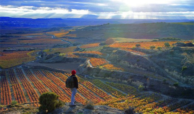 10 Best Wine Travel Destinations 2013 5