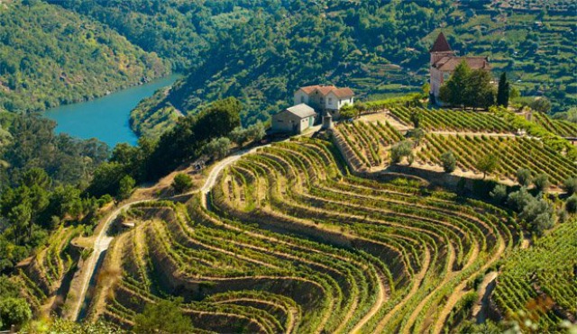 10 Best Wine Travel Destinations 2013 12