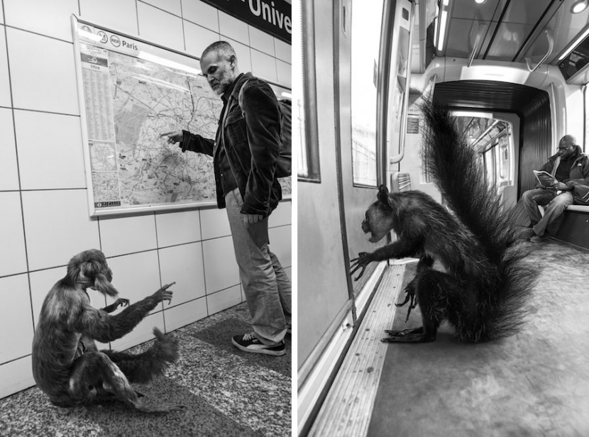 Amusing Photos Show What It Would Be Like If Animals Took The Paris Metro 14