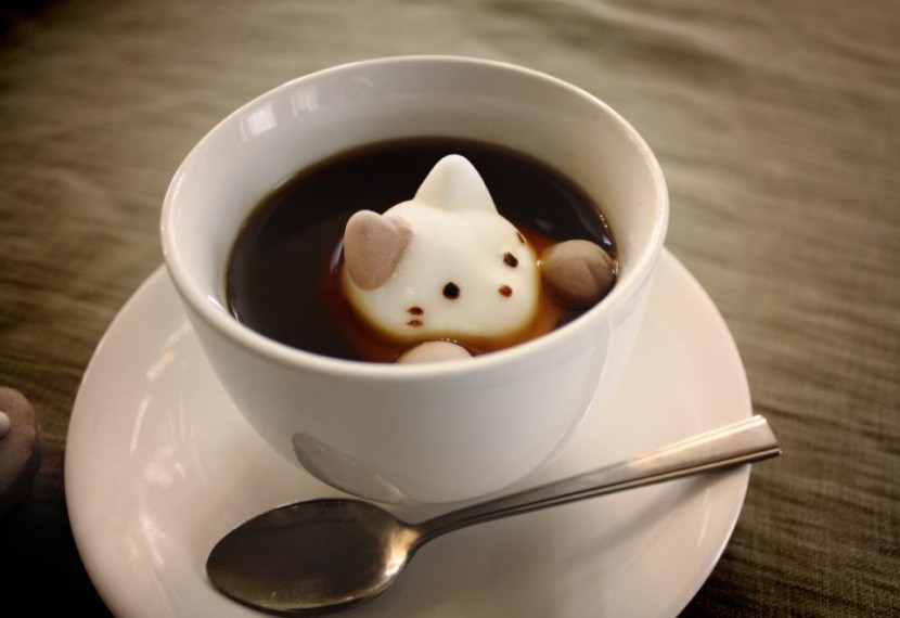 Cute Marshmallow Cats Float and Dissolve Inside Coffee Cups 1