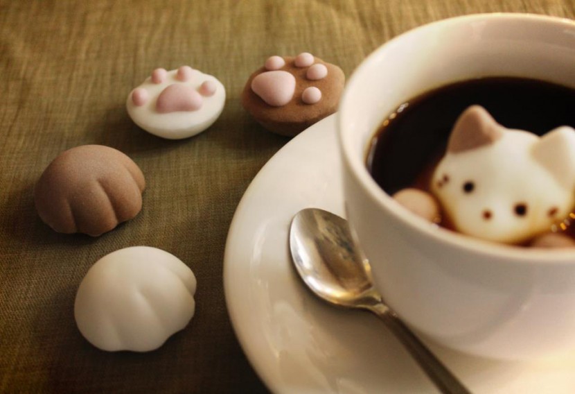 Cute Marshmallow Cats Float and Dissolve Inside Coffee Cups 3