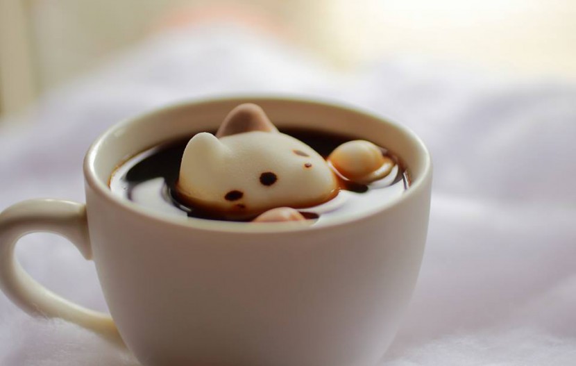 Cute Marshmallow Cats Float and Dissolve Inside Coffee Cups 4