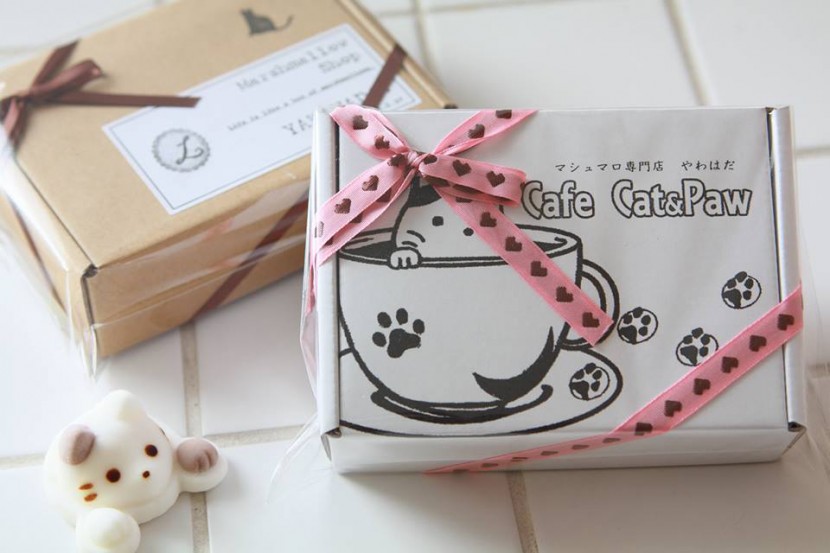 Cute Marshmallow Cats Float and Dissolve Inside Coffee Cups 5