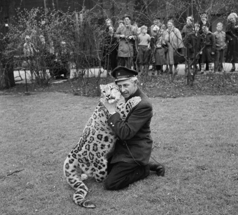 Photos Of The Copenhagen Zoo In 1955 18