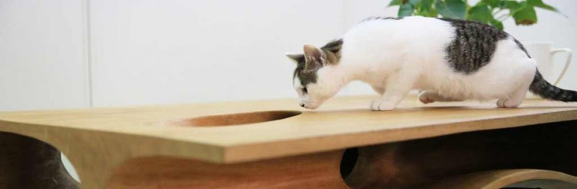 This Stylish Table Doubles As A Playground For Cats 3