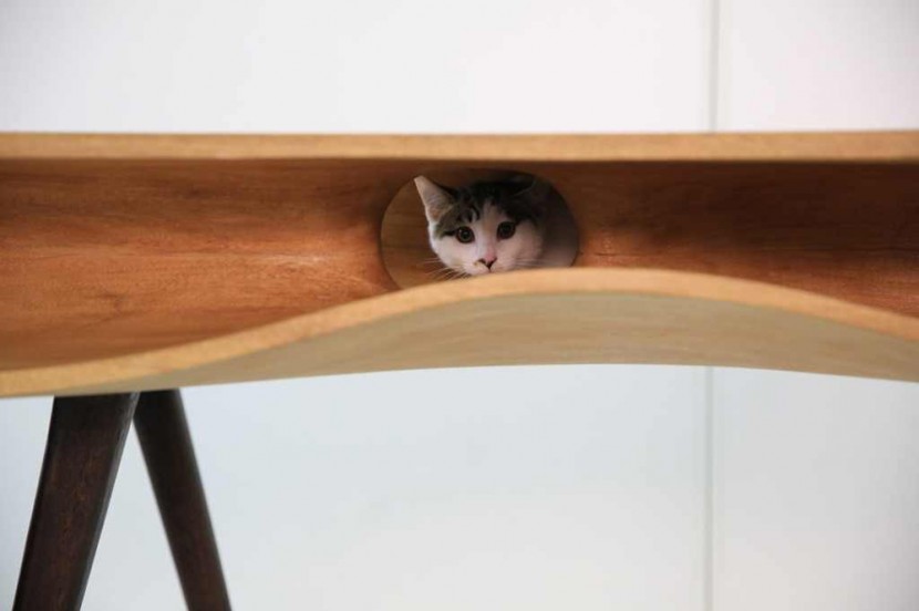 This Stylish Table Doubles As A Playground For Cats 6