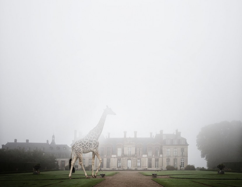 One Photographer's Playful Journey Through 25 Historic Sites in France 11