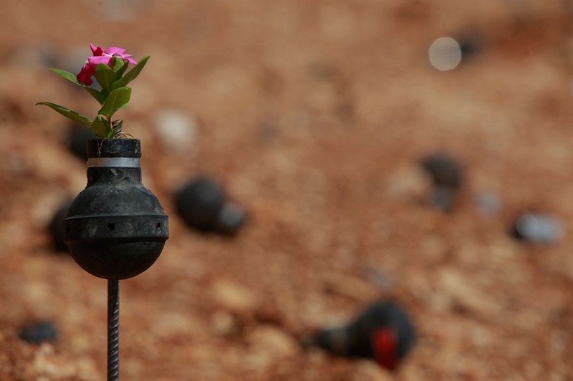 手榴彈也能種花？巴勒斯坦婦人利用廢棄手榴彈種植小花朵 1