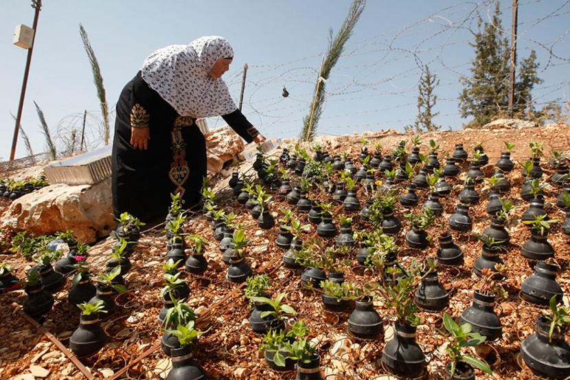 手榴彈也能種花？巴勒斯坦婦人利用廢棄手榴彈種植小花朵 2