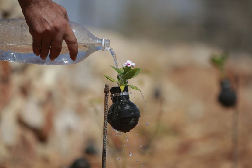 手榴彈也能種花？巴勒斯坦婦人利用廢棄手榴彈種植小花朵 5
