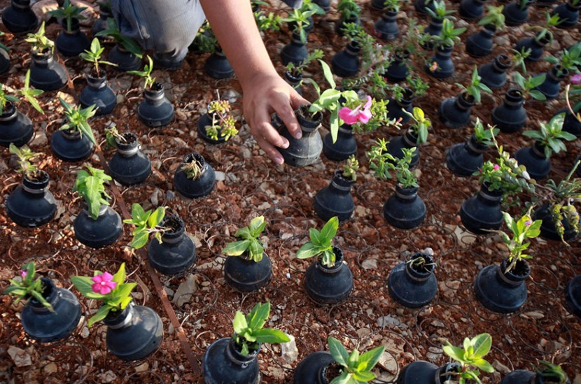 手榴彈也能種花？巴勒斯坦婦人利用廢棄手榴彈種植小花朵 7
