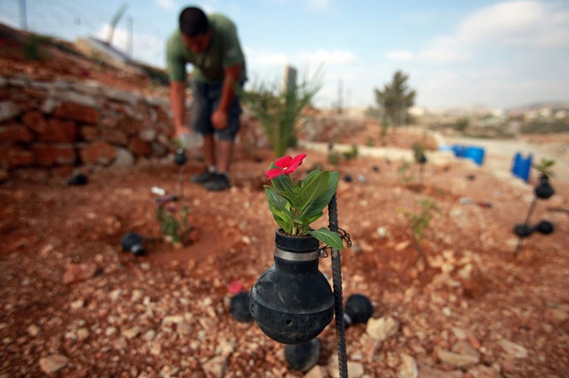 手榴彈也能種花？巴勒斯坦婦人利用廢棄手榴彈種植小花朵 8