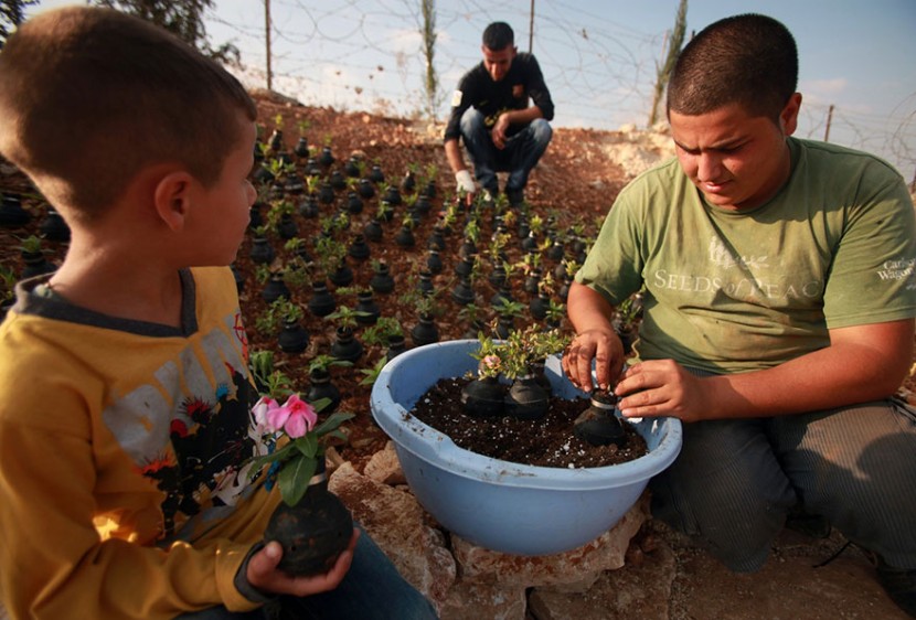 手榴彈也能種花？巴勒斯坦婦人利用廢棄手榴彈種植小花朵 9