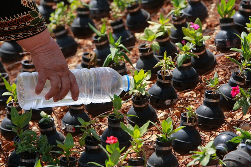 手榴彈也能種花？巴勒斯坦婦人利用廢棄手榴彈種植小花朵 10