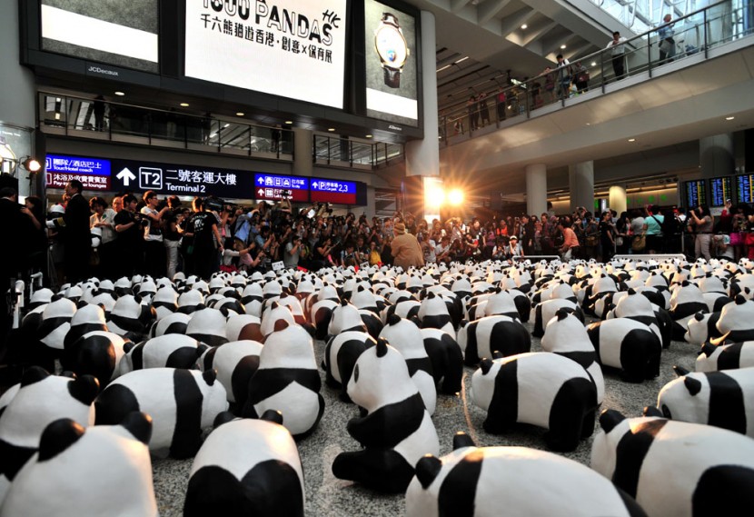 1600 熊貓來到香港啦！ 1