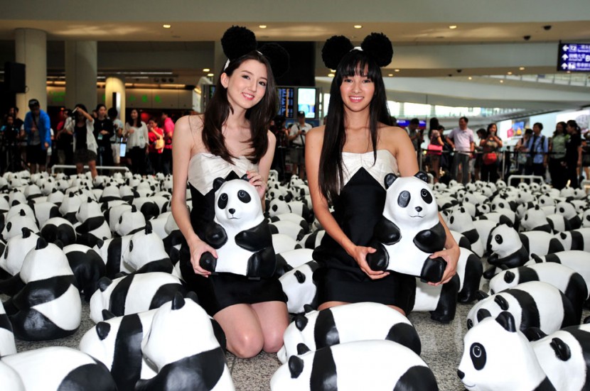 1600 熊貓來到香港啦！ 2