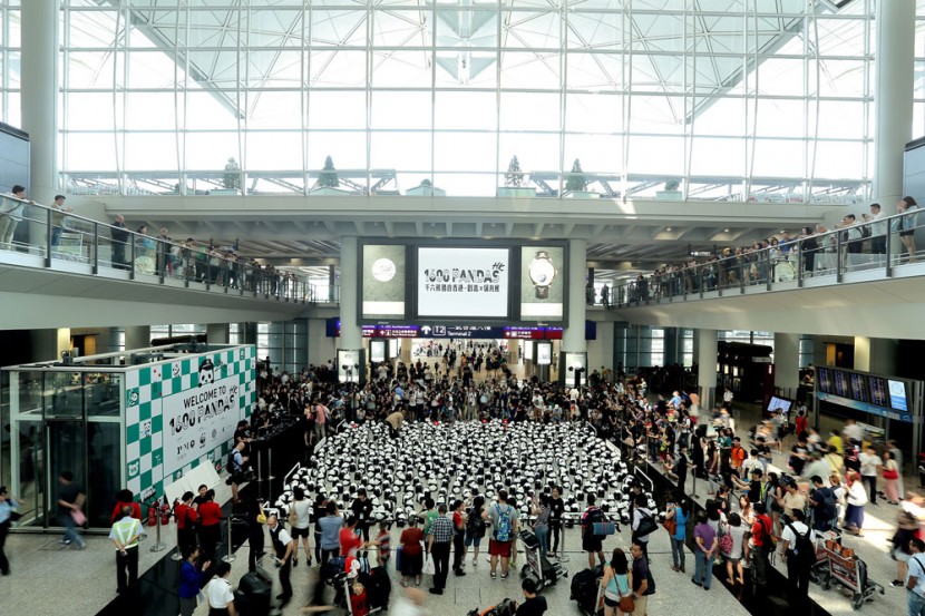 1600 熊貓來到香港啦！ 7