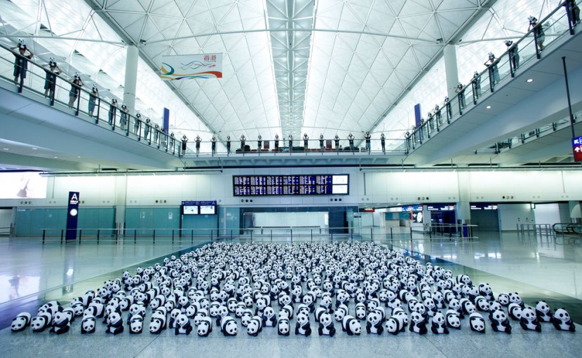 1600 熊貓來到香港啦！ 9