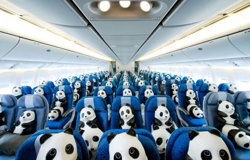 1600 熊貓來到香港啦！ 14