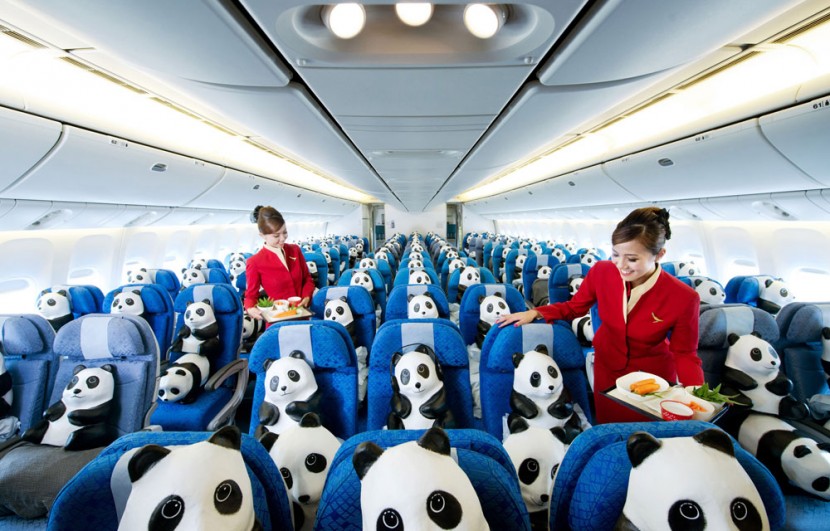 1600 熊貓來到香港啦！ 16