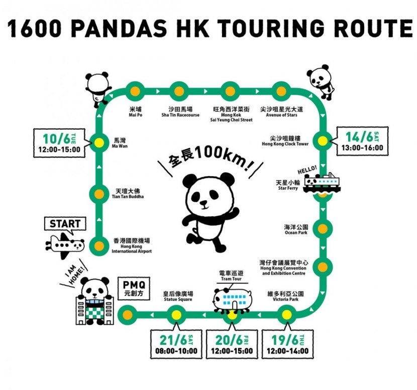 1600 熊貓來到香港啦！ 20