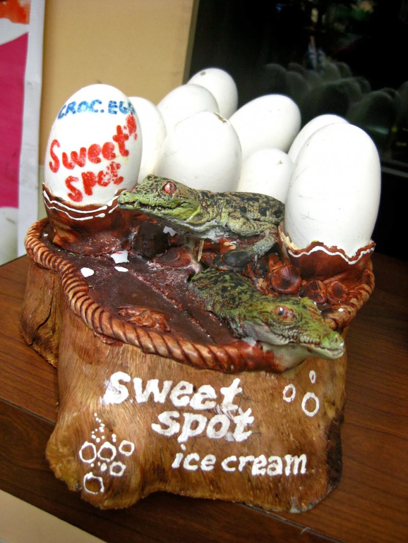 Would You Eat Crocodile Egg Ice Cream?  4