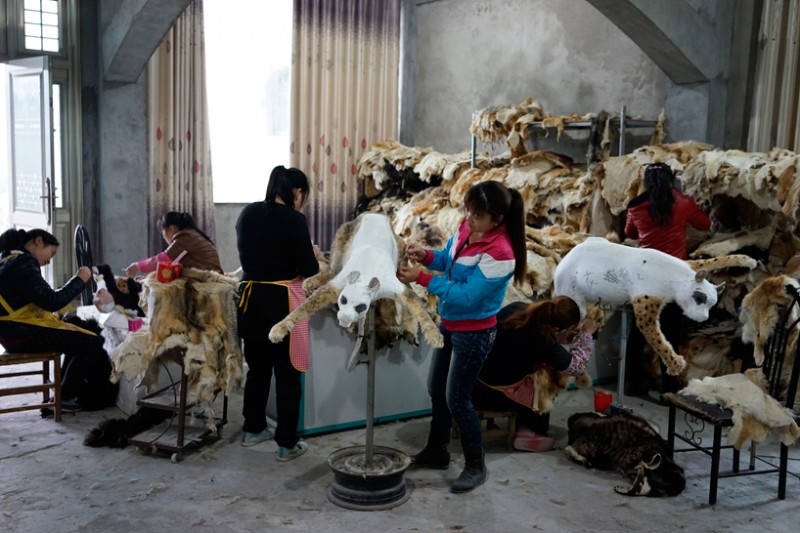 cai guo qiang sends 99 animals aboard the ninth wave in shanghai 2