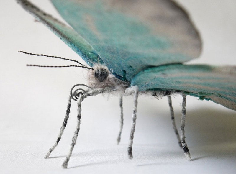 Giant Life-Like Moths And Butterflies Made Of Embroidered Fabric 4