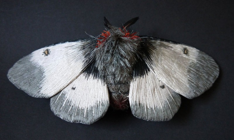 Giant Life-Like Moths And Butterflies Made Of Embroidered Fabric 12