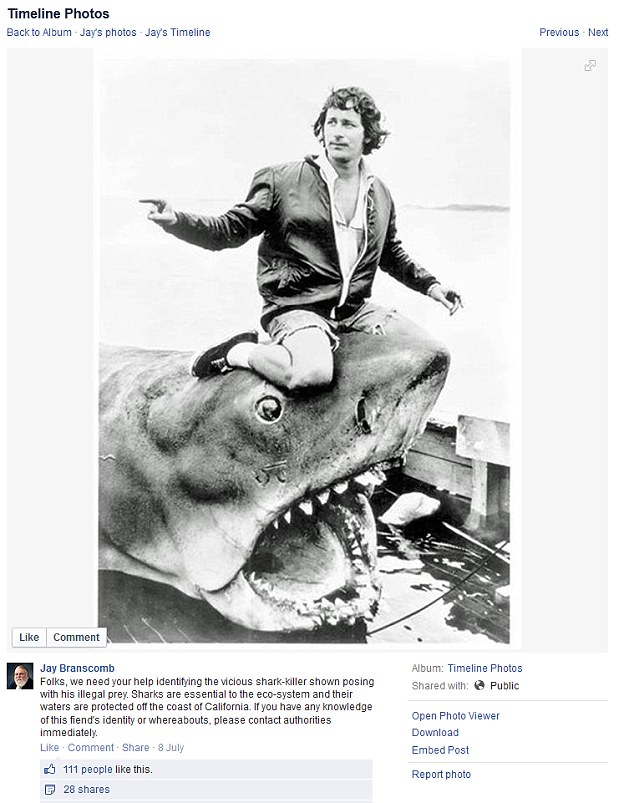 又一位名人的獵殺照？你相信Steven Spielberg這張照片是真的嗎？ 7