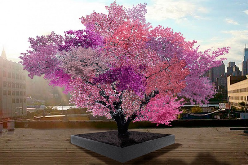 藝術家的40種果樹計畫，你意想不到同一棵樹上竟會結出多種不同的水果 1