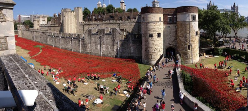 倫敦塔下“盛開”88萬朵陶瓷罌粟花紀念一戰亡靈 1