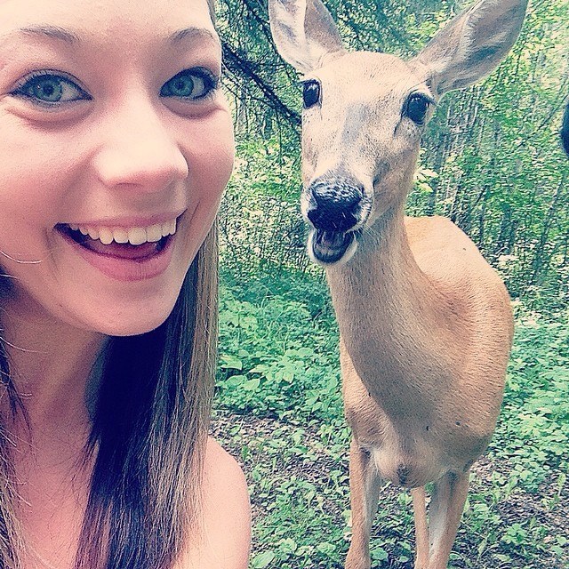 If a Deer Starts Licking Your Camera Lens, You’re Probably a Little Too Close 7