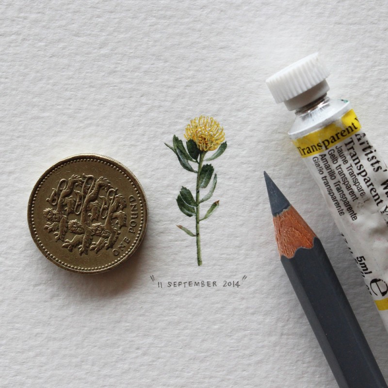365 Postcards For Ants: Illustrator Creates One Mini Painting Per Day For A Year 10
