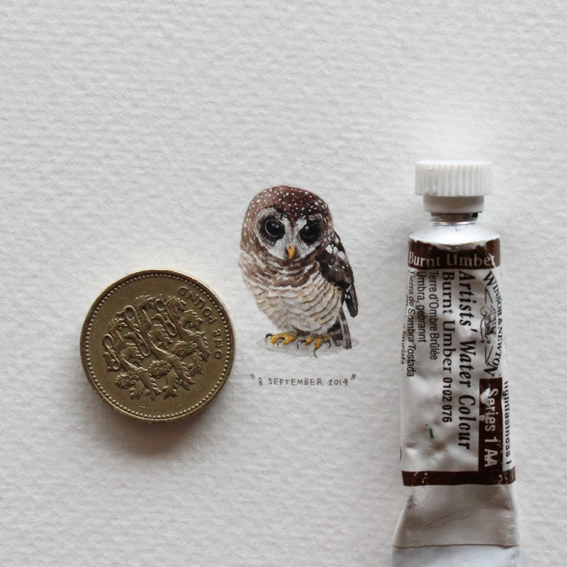 365 Postcards For Ants: Illustrator Creates One Mini Painting Per Day For A Year 13