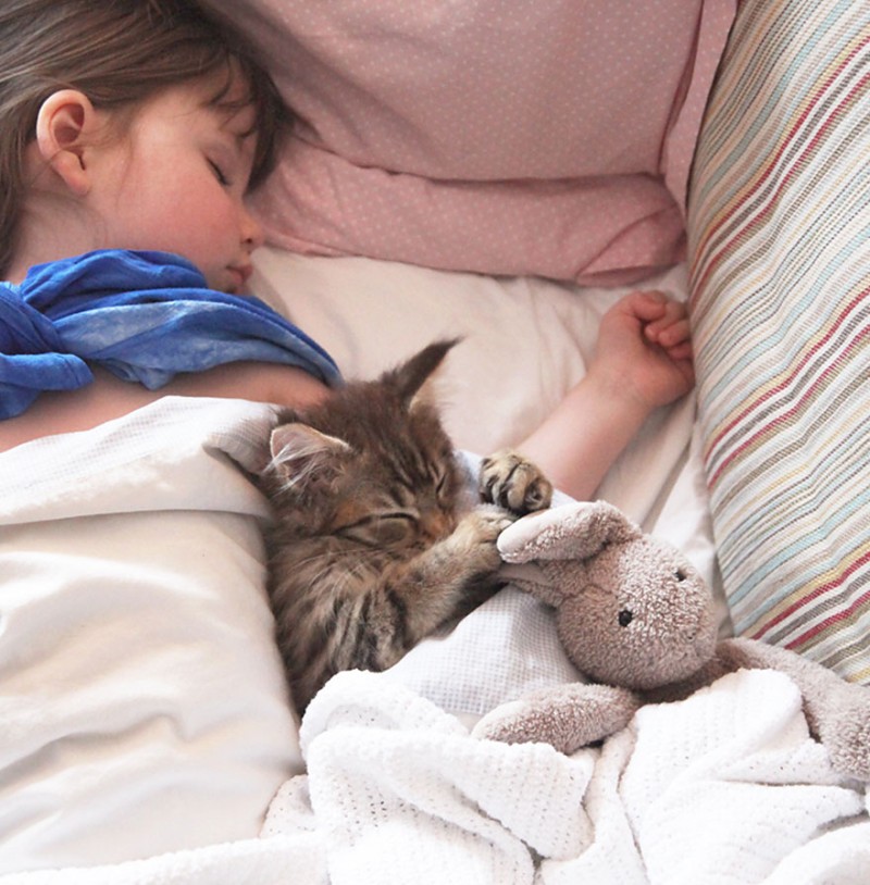 A Girl With Autism And Her Therapy Cat 11