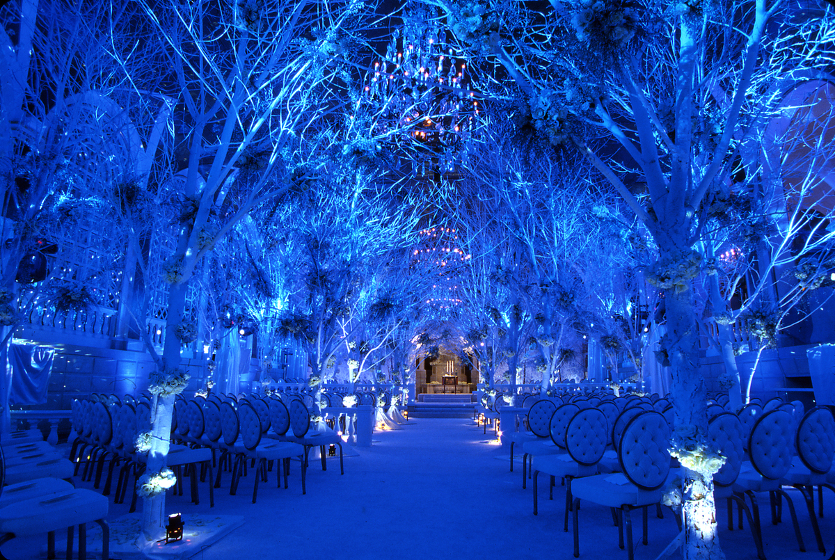 Lighting Ideas make wedding photo look stunning 10
