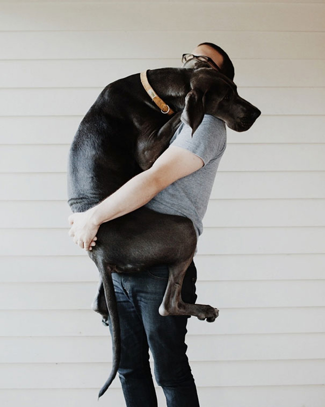獨自留在家中的狗狗會做些什麼事？看完這影片後，你會想給牠們來一個緊緊的擁抱！ 4