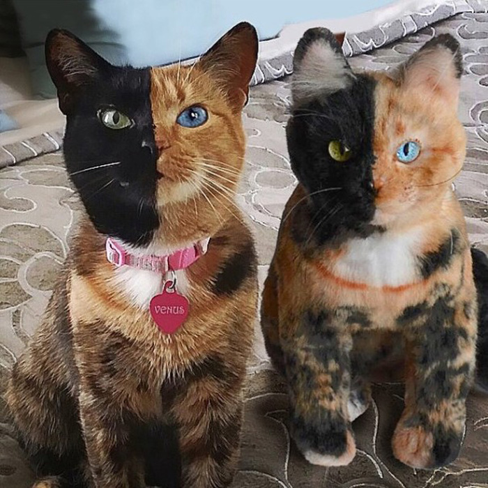 Now You Can Make A Plush Toy Of Your Family Pet 9