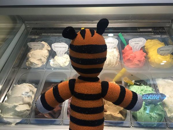 Tampa Airport Staff Gives Boy's Lost Tiger Toy The Best Vacation Ever 7