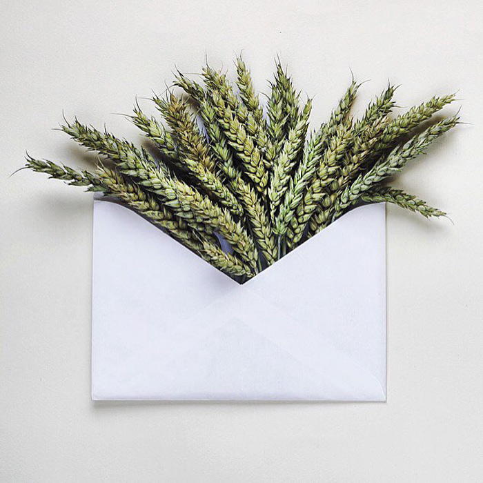 The Envelope Series 15