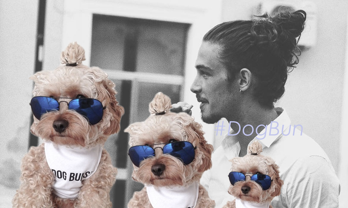 如何为狗狗剪指甲- How视频- 旧金山湾区华人资讯网, image size:1170x700