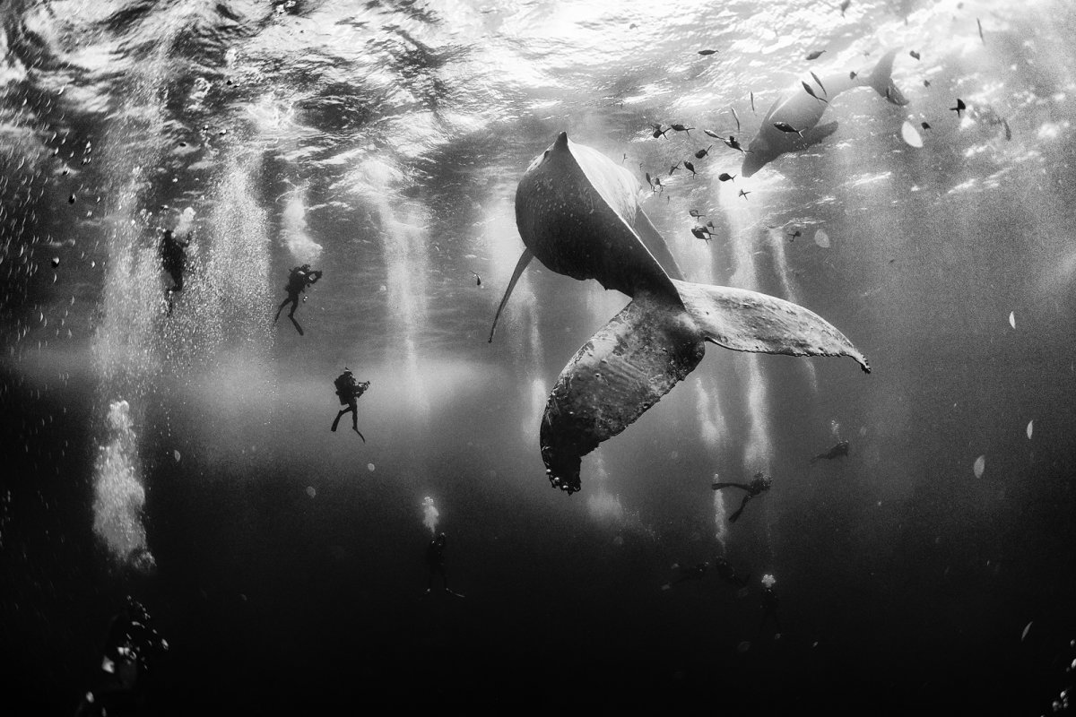Glorious award-winning National Geographic photos will make you want to travel the world 5